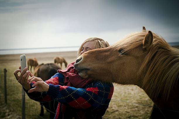 kobieta robiąca zdjęcie z koniem